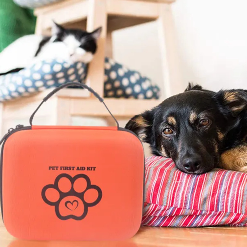 Tuise de premiers soins pour animaux de compagnie pour les chats vs chiens: ce que vous devez savoir