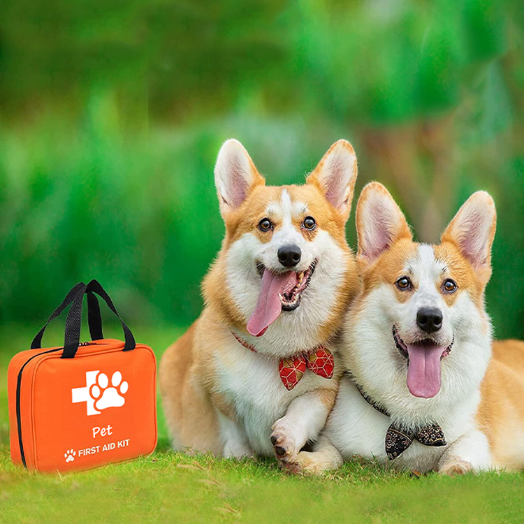Sac portatif de trousse de premiers soins de médecine d'urgence équestre de soins pour animaux de compagnie pour animaux de compagnie chiens et chats chevaux animal de compagnie avec urgences de voyage Colla
