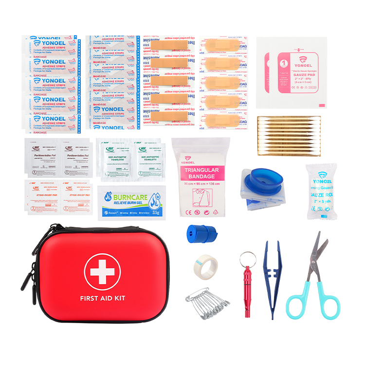 Petite trousse médicale à coque rigide et durable, trousse de premiers secours étanche en EVA, fournitures pour cadeau, maison, sport, voiture, randonnée