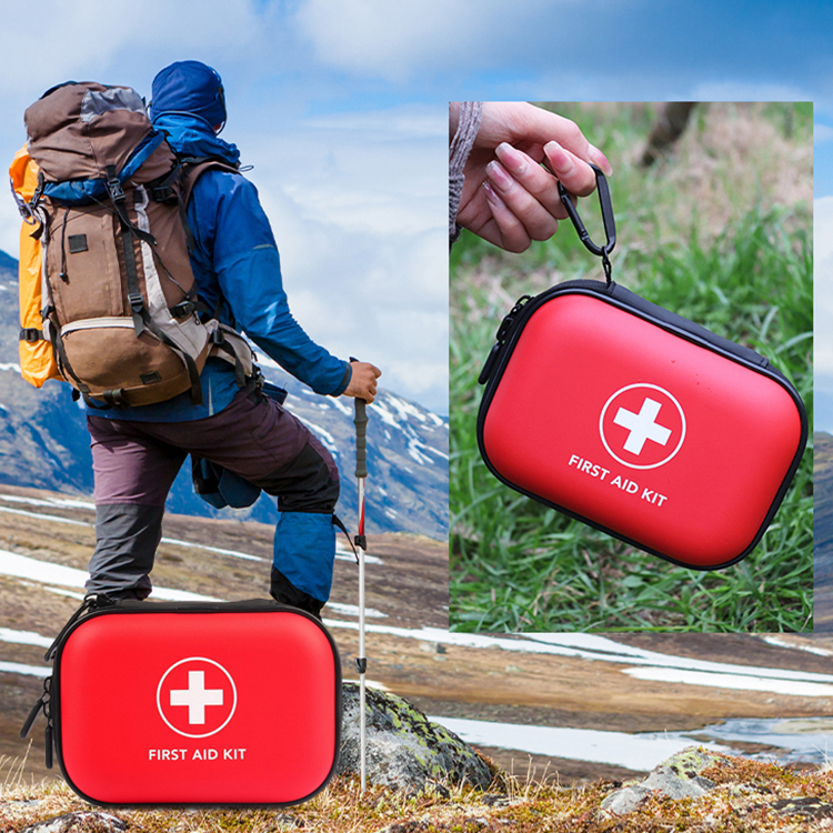 Petite trousse médicale à coque rigide et durable, trousse de premiers secours étanche en EVA, fournitures pour cadeau, maison, sport, voiture, randonnée