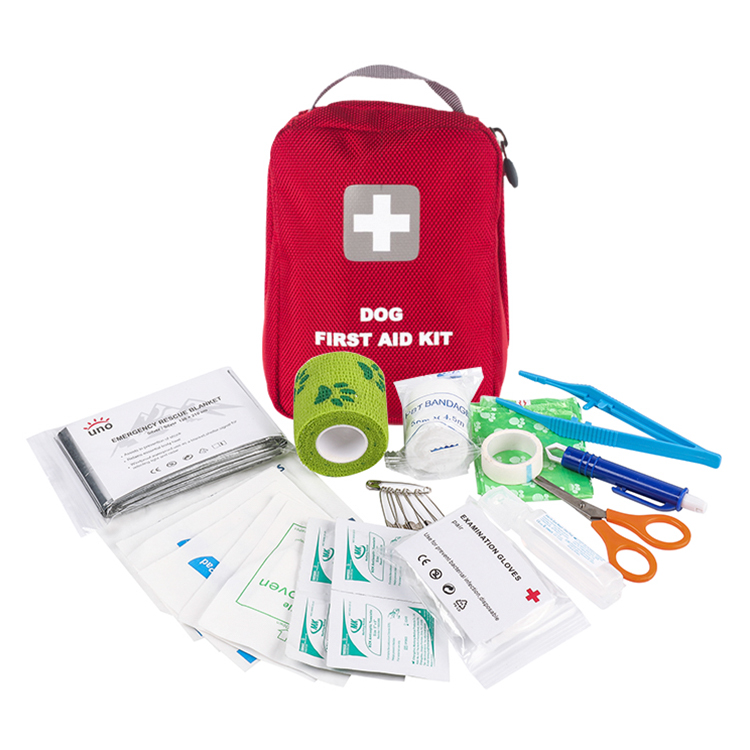 Trousse de premiers secours pour chat et chien pour voiture – Kit d