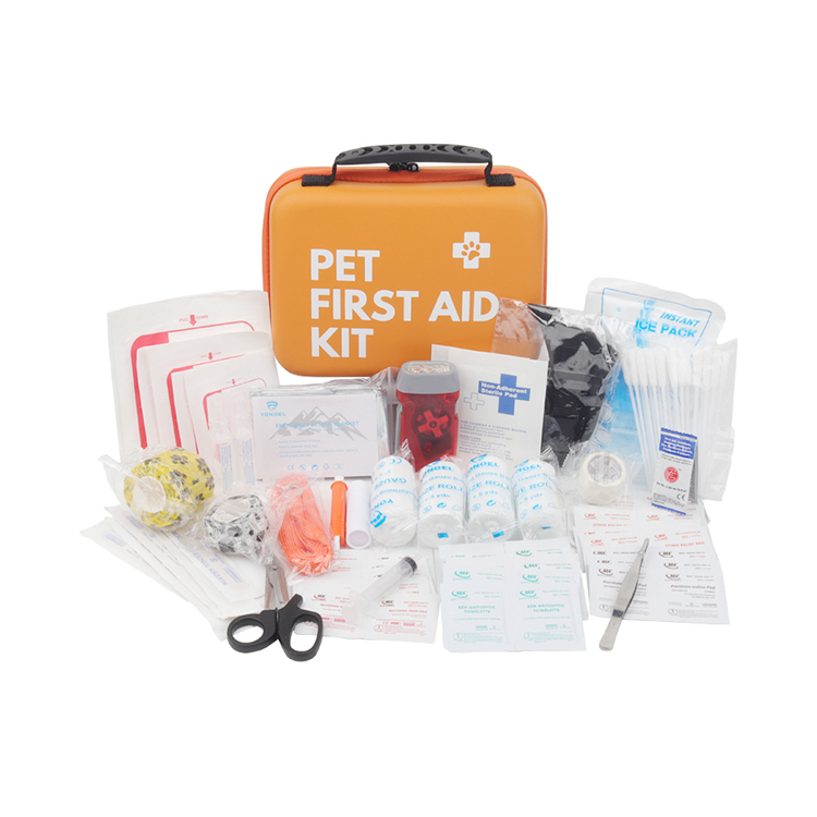 Trousse de premiers secours pour chat et chien pour voiture – Kit d
