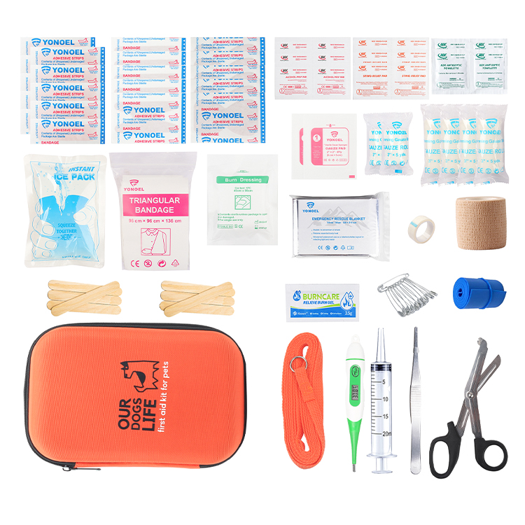 Trousse de premiers secours pour chat et chien pour voiture – Kit d