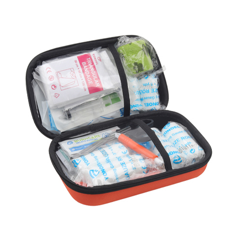 Trousse de premiers secours pour chat et chien pour voiture – Kit d