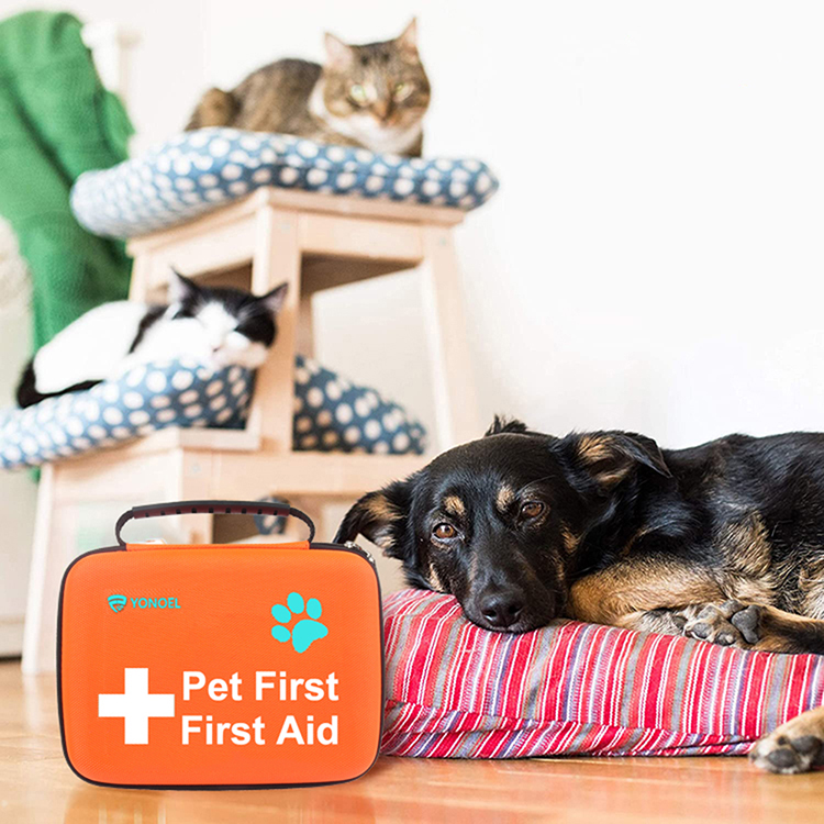 Comment un fournisseur de trousses de premiers secours pour animaux de compagnie conçoit-il des kits pour un usage quotidien